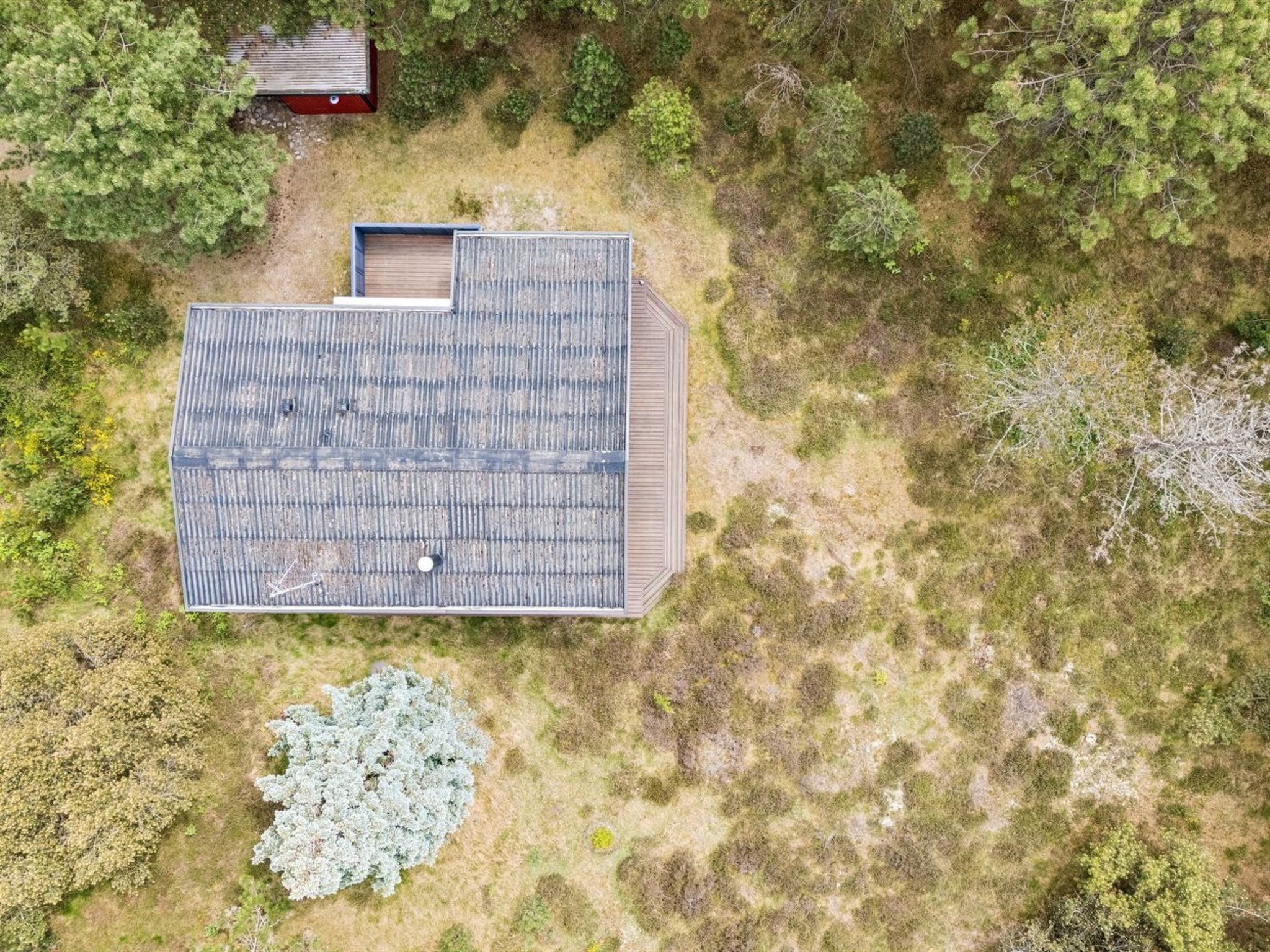 "Sarita" - 200m from the sea - Dehors