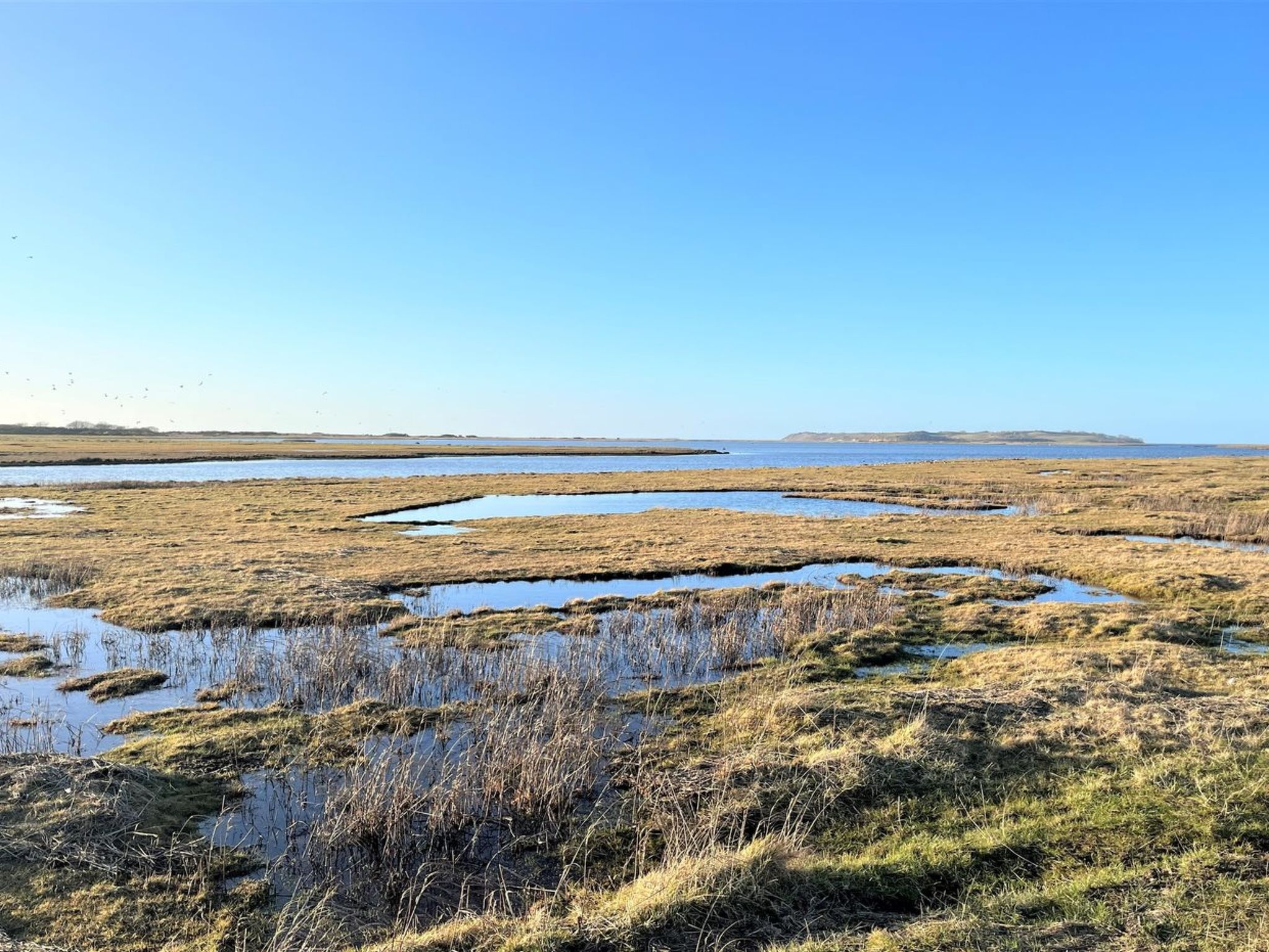 "Dufa" - 200m to the fjord-Buiten