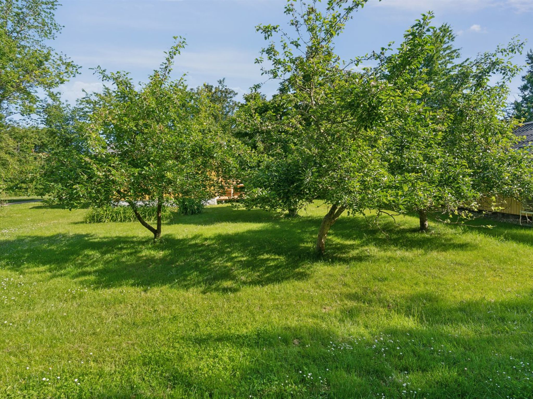 "Lennart" - 4km from the sea - Buiten