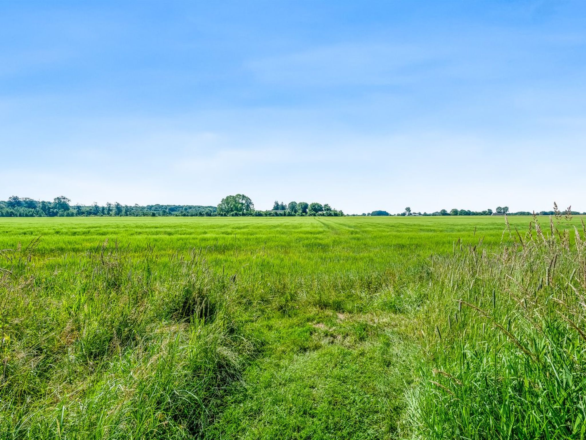 "Patrice" - 300m from the sea - Draußen