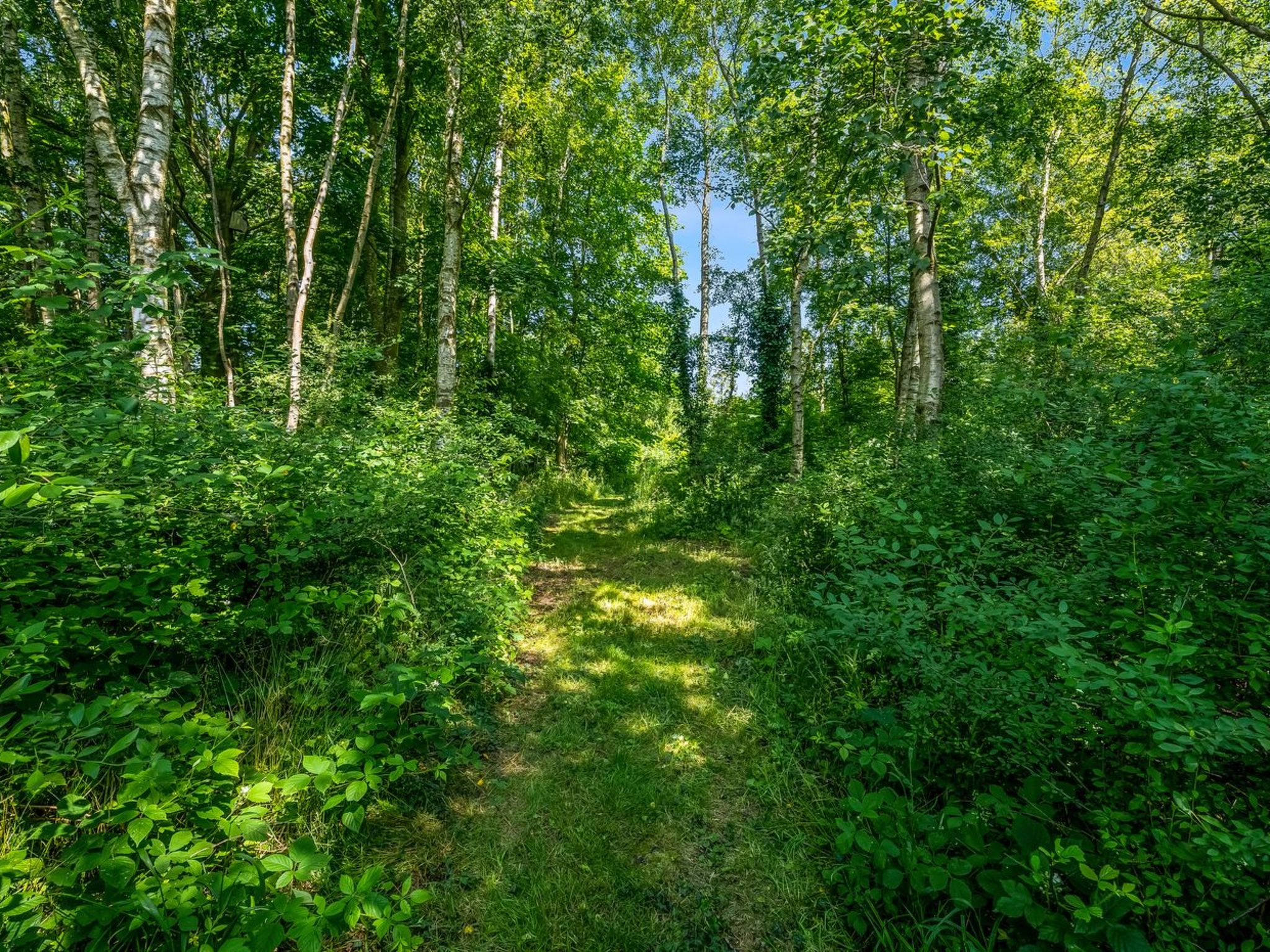 "Patrice" - 300m from the sea - Draußen