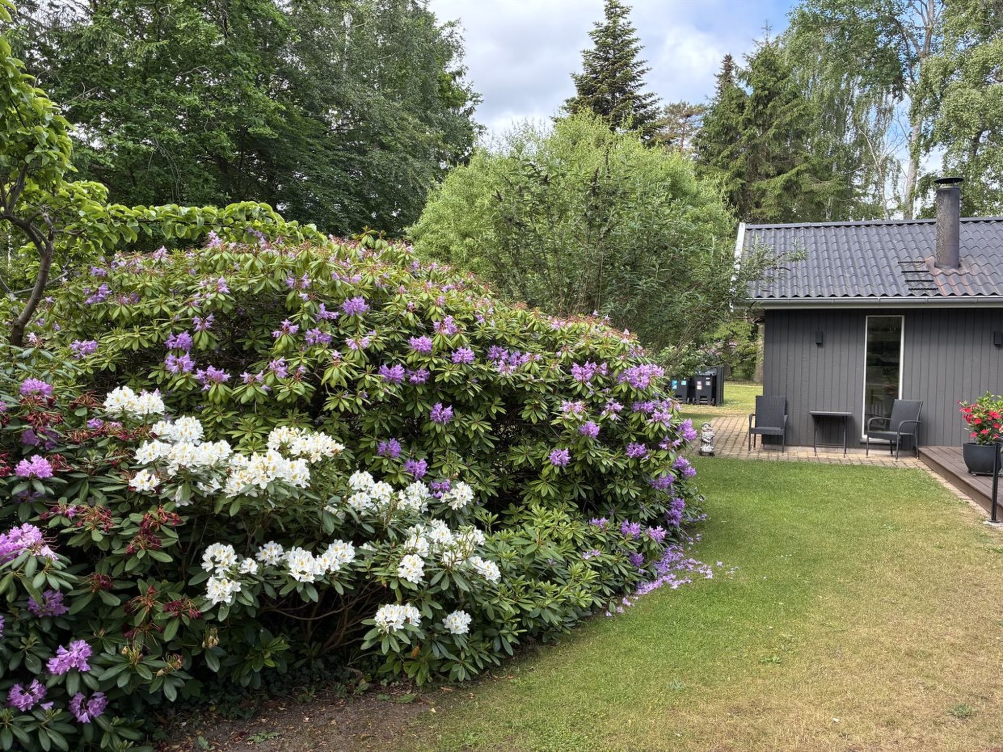 "Floria" - 500m from the sea - Outside