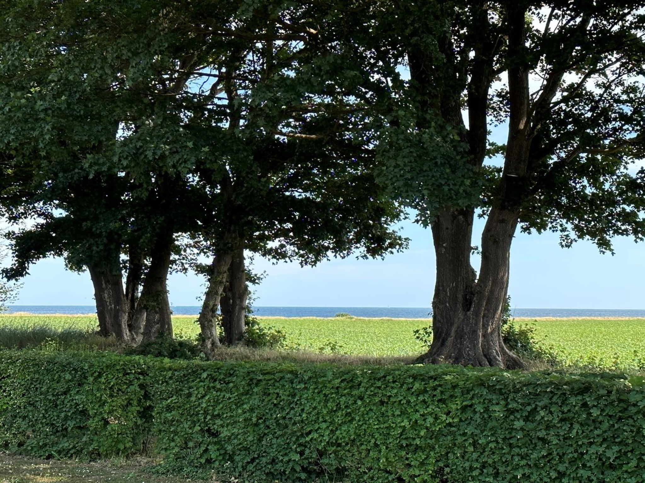 "Francis" - 300m from the sea - Buiten