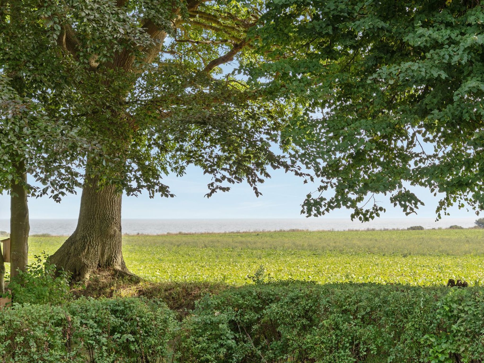 "Francis" - 300m from the sea - Buiten