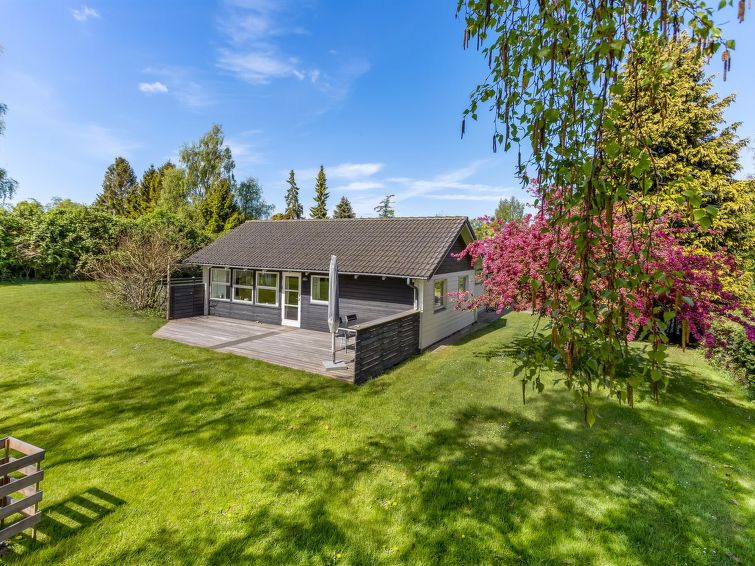 "Prohor" - 150m from the sea – Stege – Ostsee