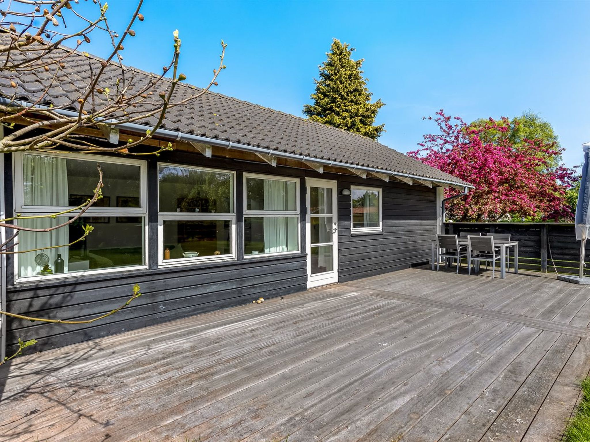 "Prohor" - 150m from the sea - Buiten