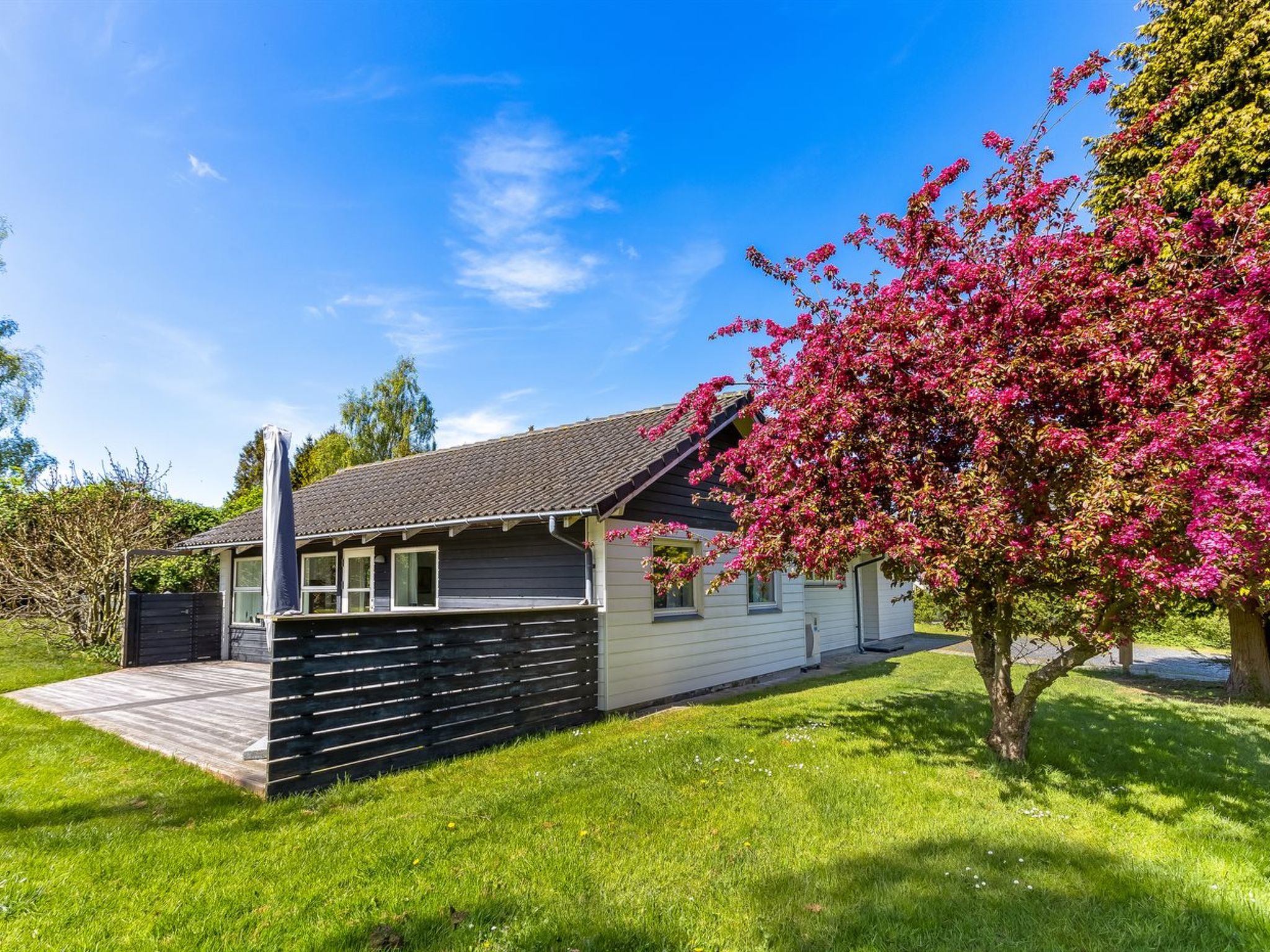 "Prohor" - 150m from the sea - Buiten