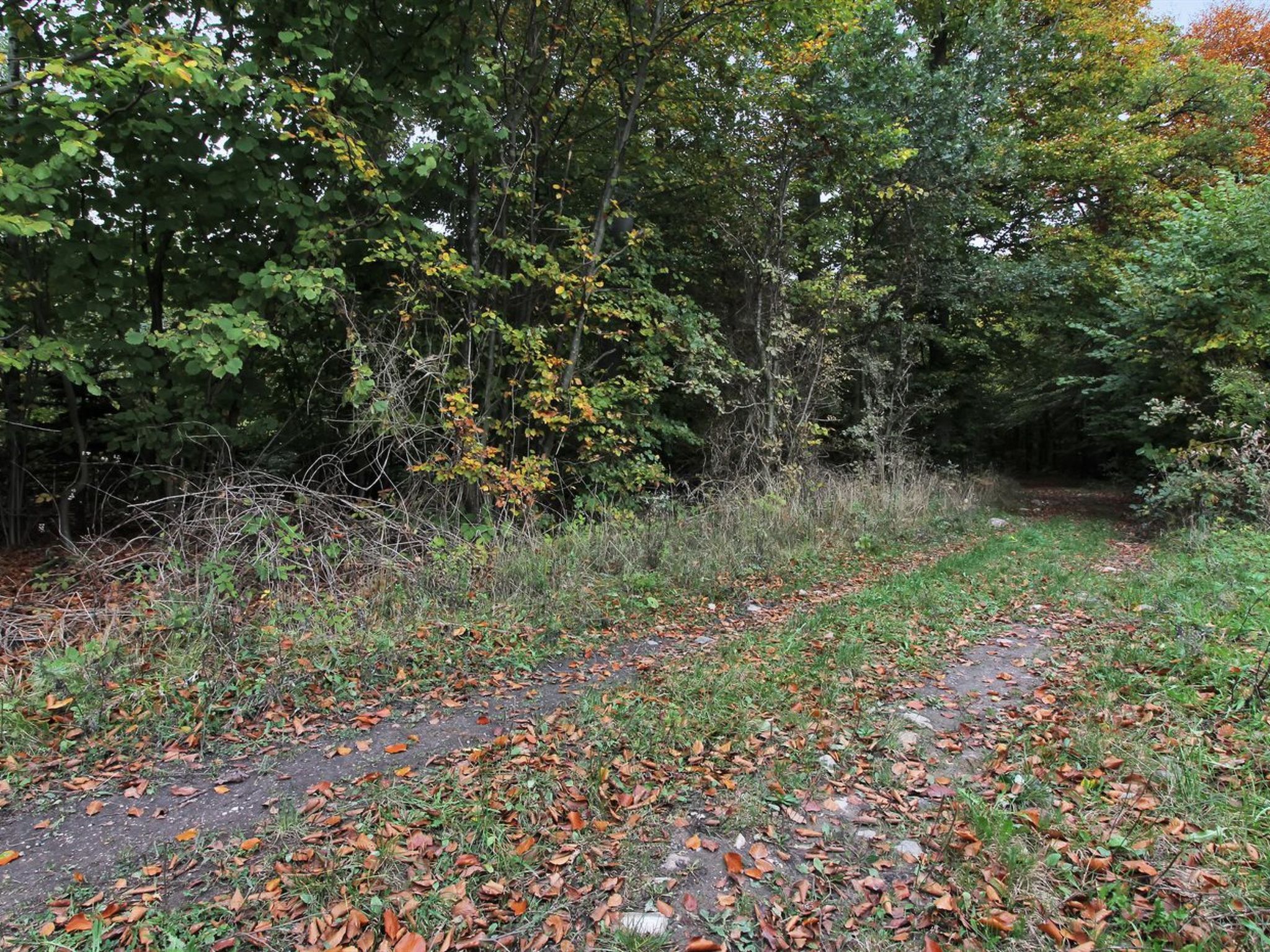 "Vojo" - 100m from the sea - Buiten