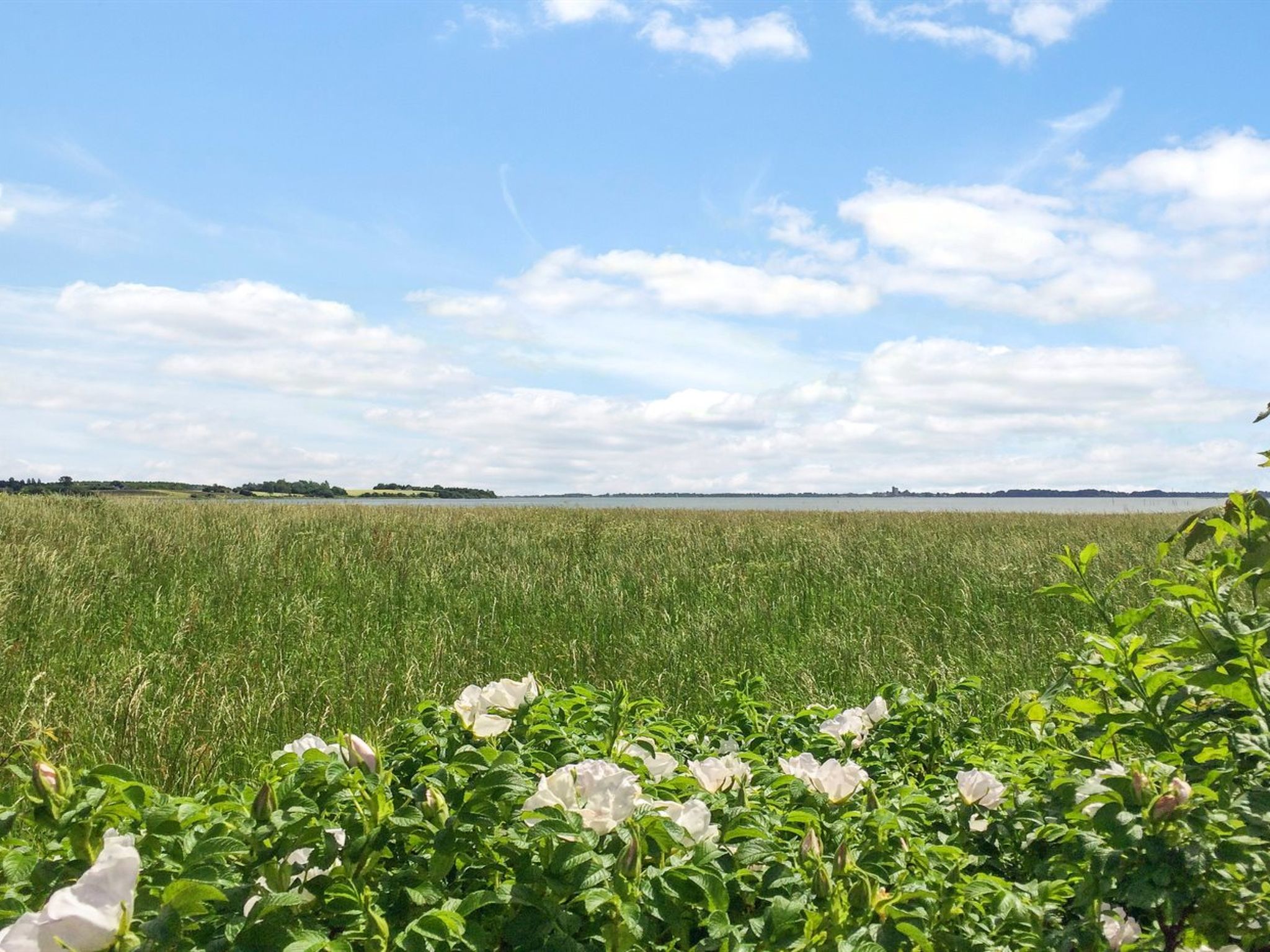 "Vojo" - 100m from the sea - Buiten
