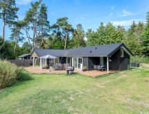 Elin: Modern vakantiehuis op 200m van zee in Idestrup - thumbnail 1