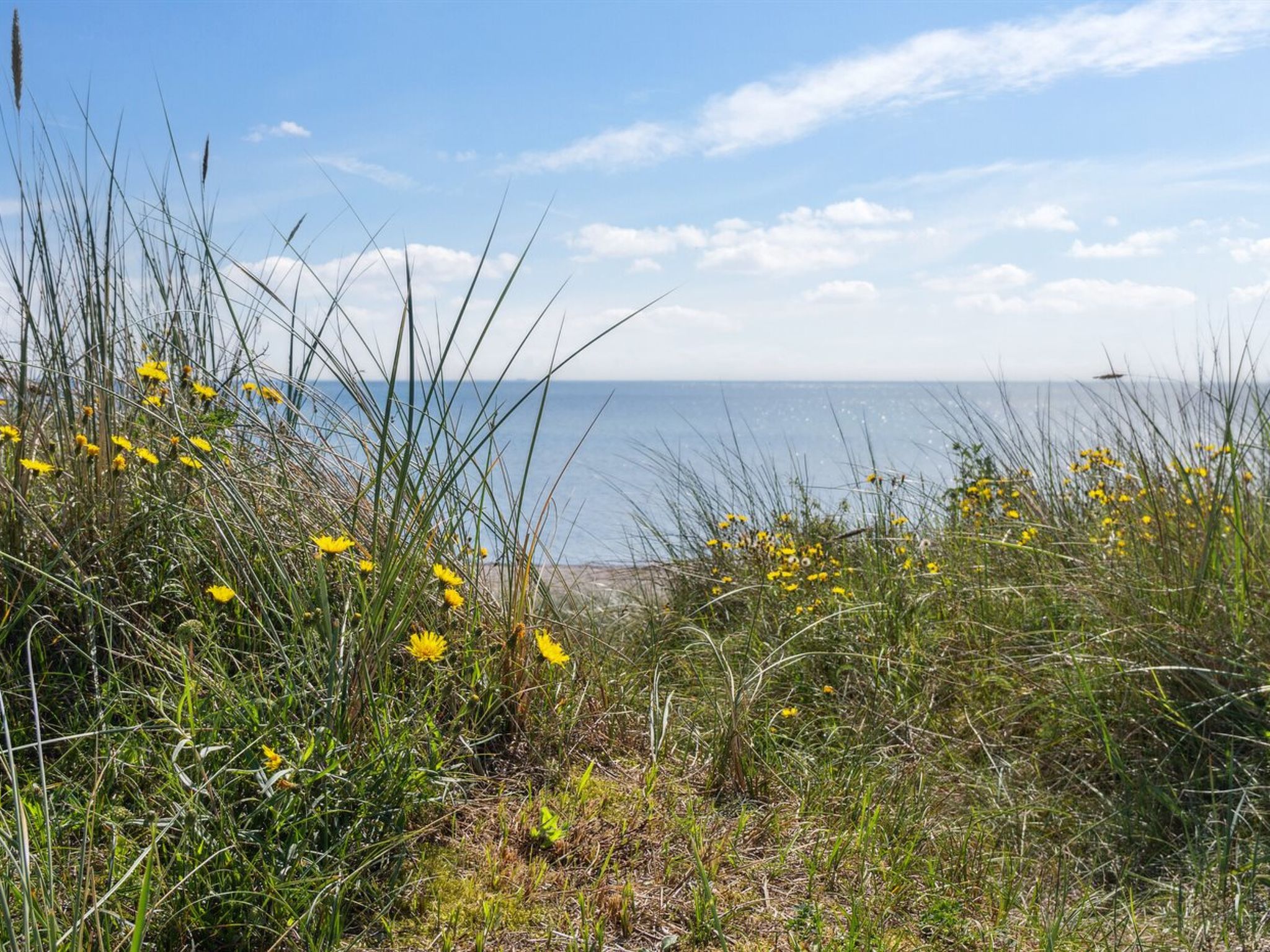 "Rother" - 50m from the sea - Buiten