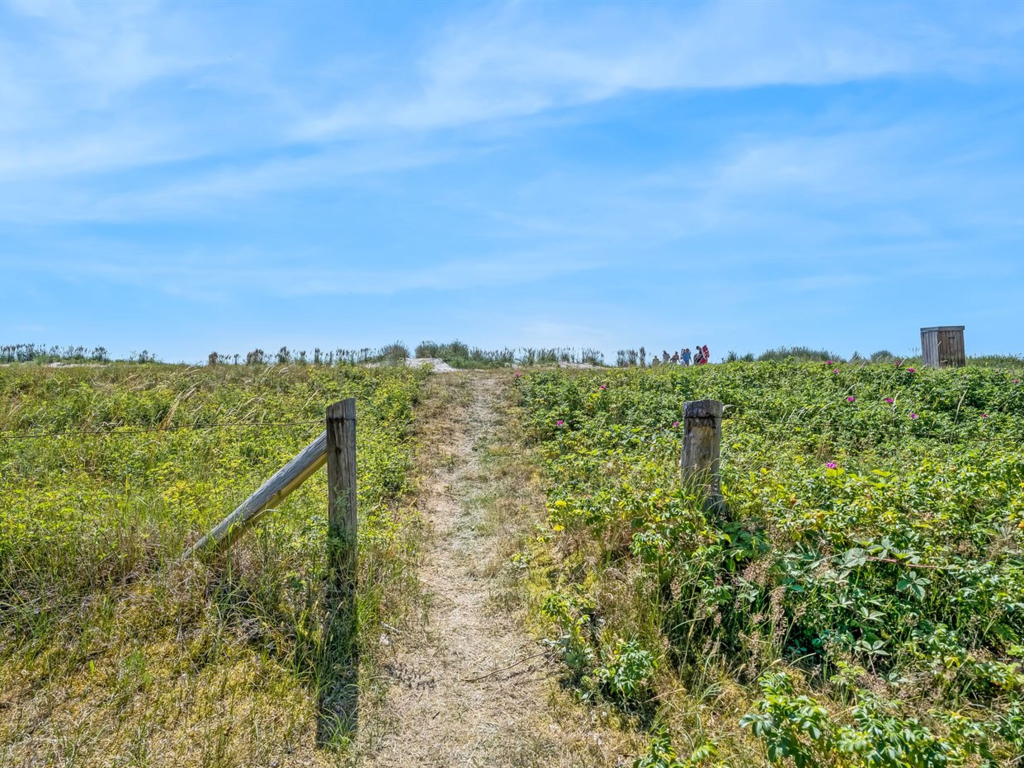 "Kaila" - 50m from the sea - Buiten