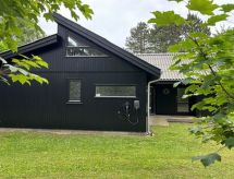 Ruim vakantiehuis voor 8 personen, direct aan zee in Idestrup - thumbnail 1