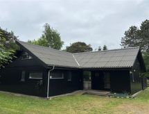 Ruim vakantiehuis voor 8 personen, direct aan zee in Idestrup - thumbnail 3