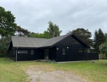 Ruim vakantiehuis voor 8 personen, direct aan zee in Idestrup - thumbnail 5