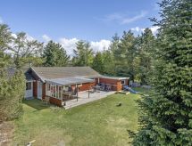 Ruime vakantiewoning Delma op 750 meter van de Lollandse kust - thumbnail 1