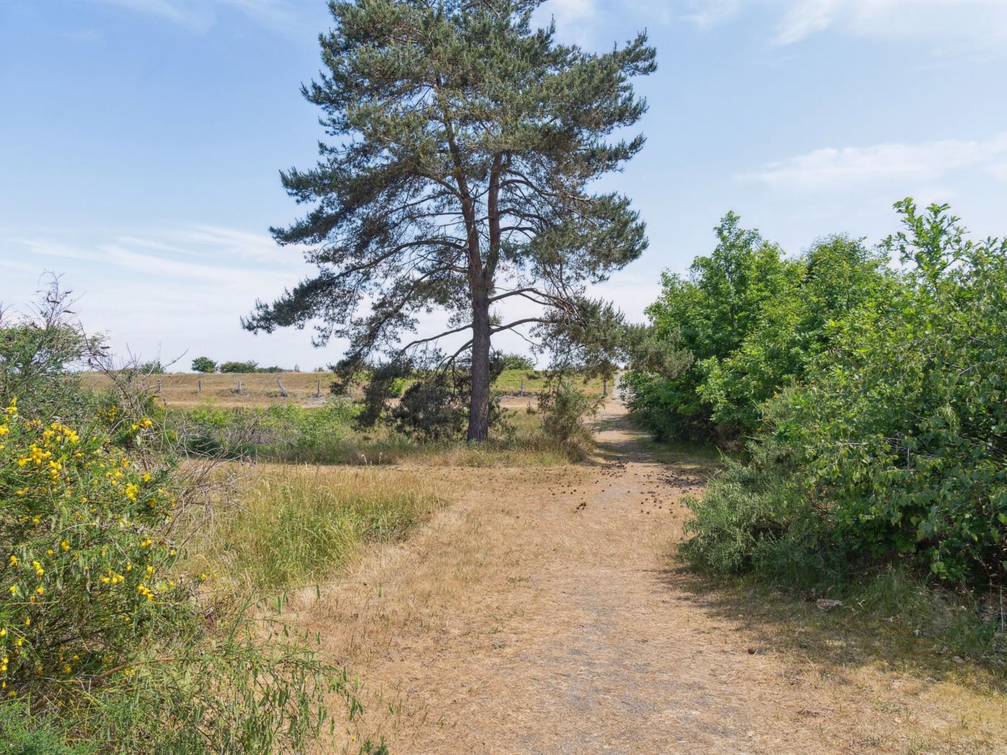 "Auke" - 100m from the sea - Outside
