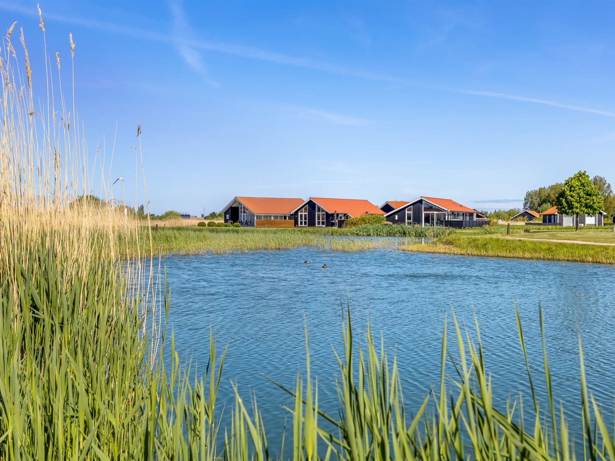 "Zişan" - 1.1km from the sea - Buiten