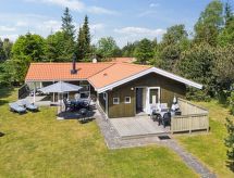 Vakantiehuis Eini op 500 meter van de Oostzee op Falster - thumbnail 1