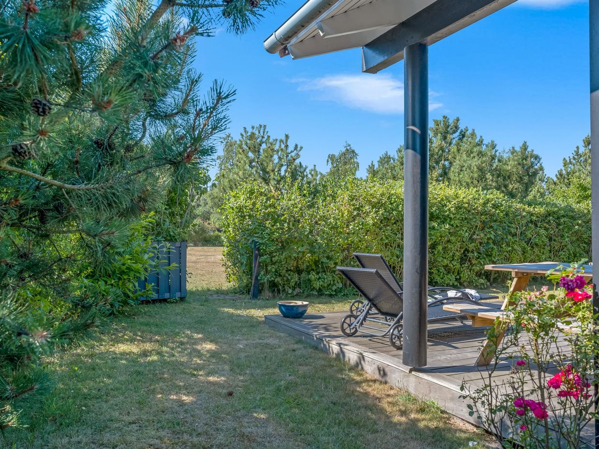 "Safina" - 1km from the sea — Terrace (3 of 24)