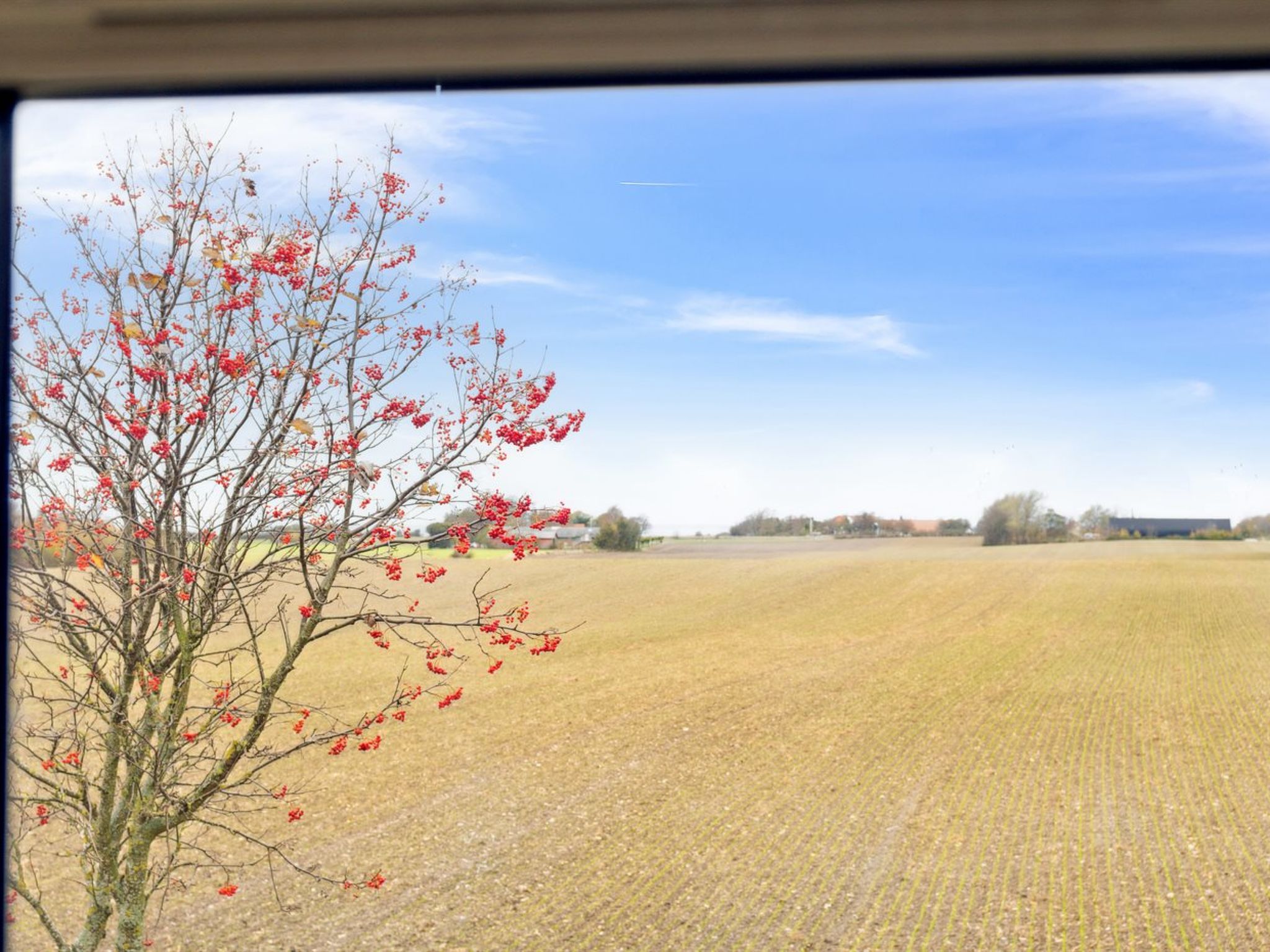 "Hughlek" - 1.5km from the sea - Buiten