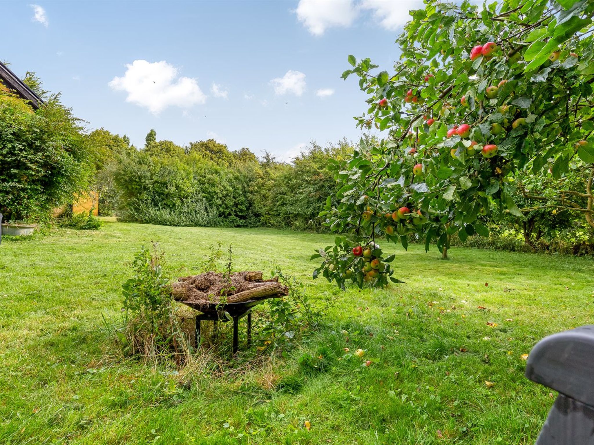 "Hughlek" - 1.5km from the sea - Buiten