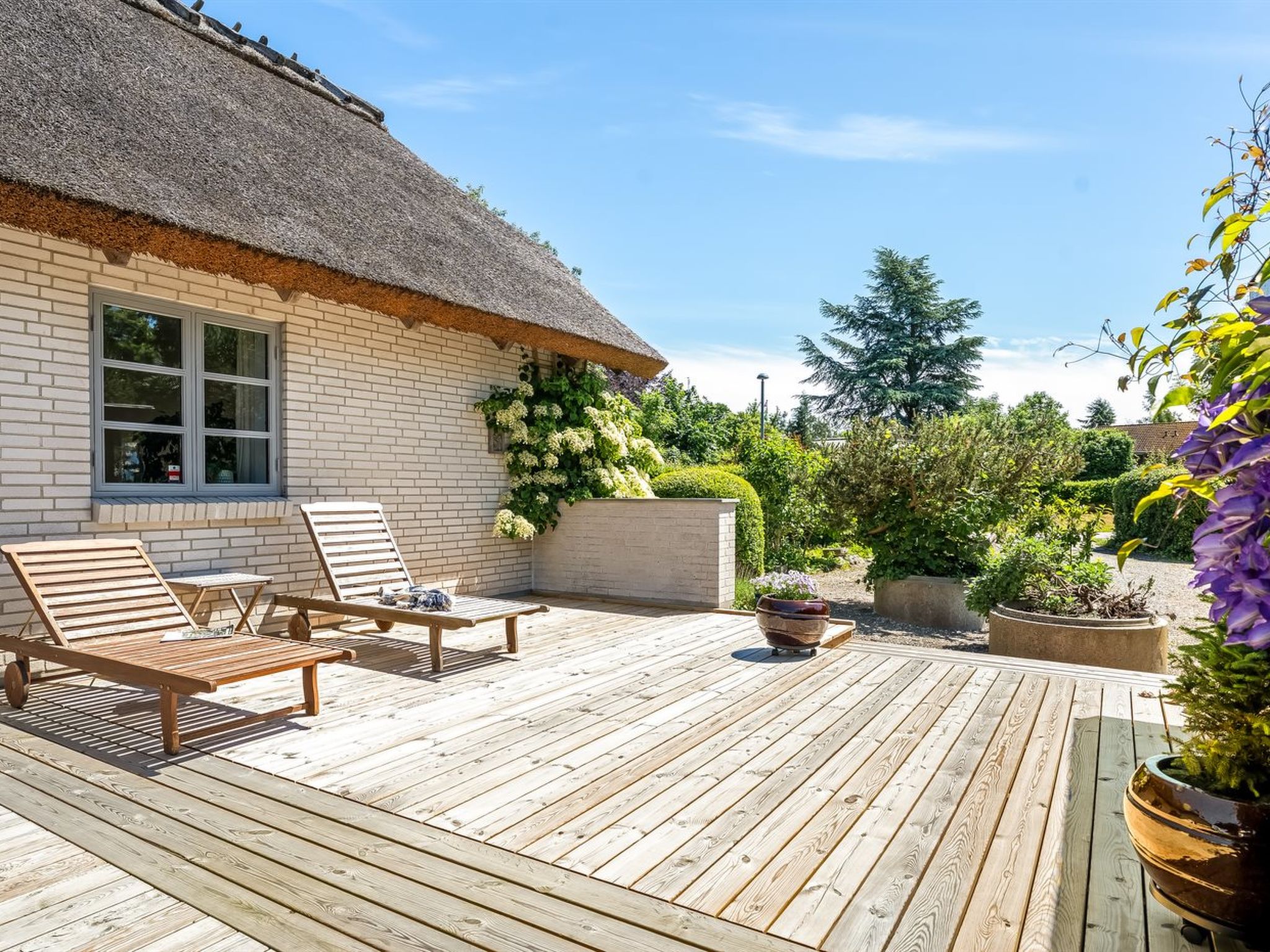 "Fausta" - 2km from the sea — Terrace (5 of 20)