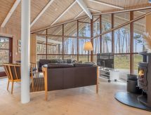 Vrijstaande woning met sauna op slechts 50 meter van de zee in Gedser - thumbnail 3