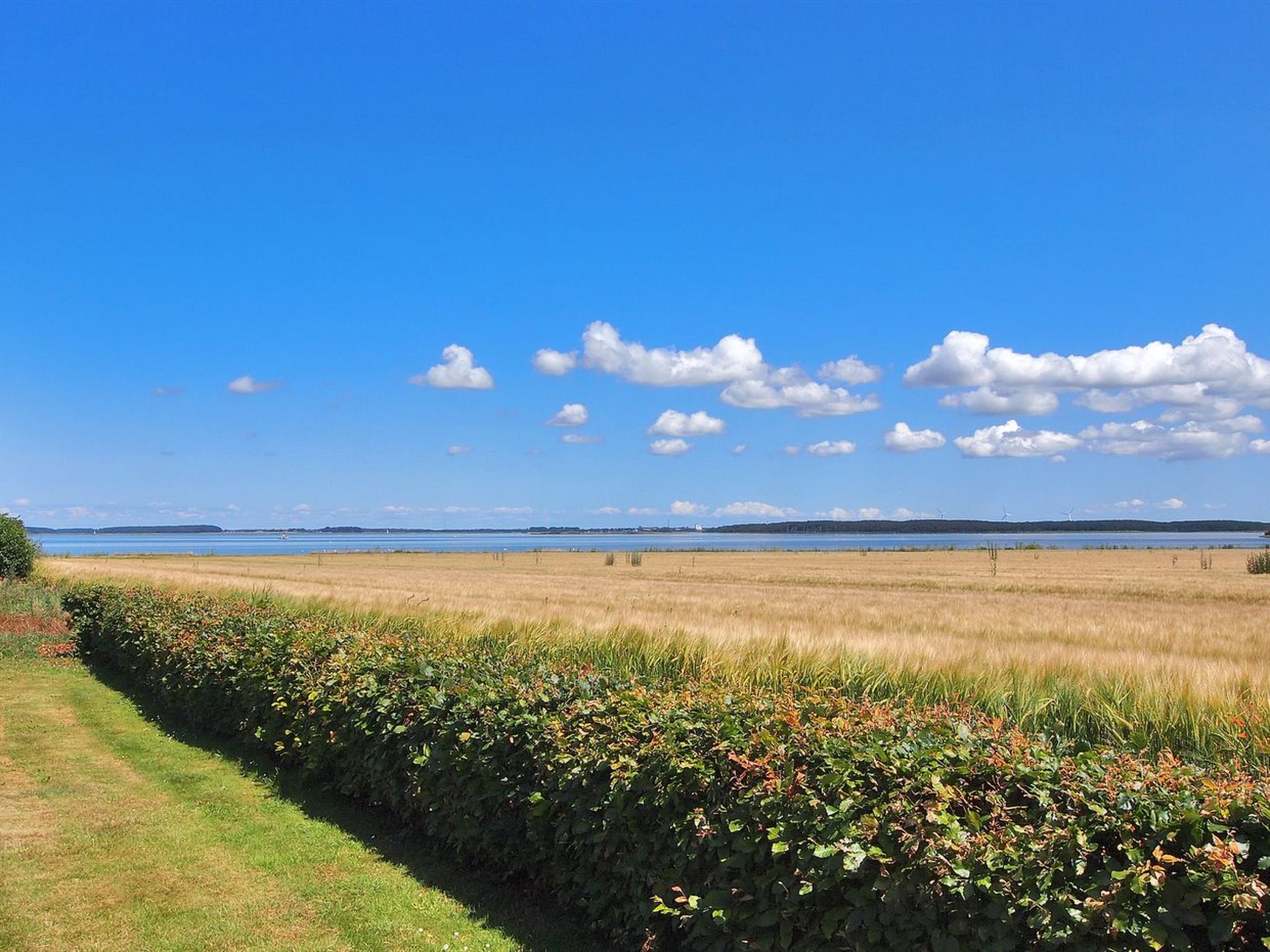 "Spase" - 250m to the fjord - Buiten