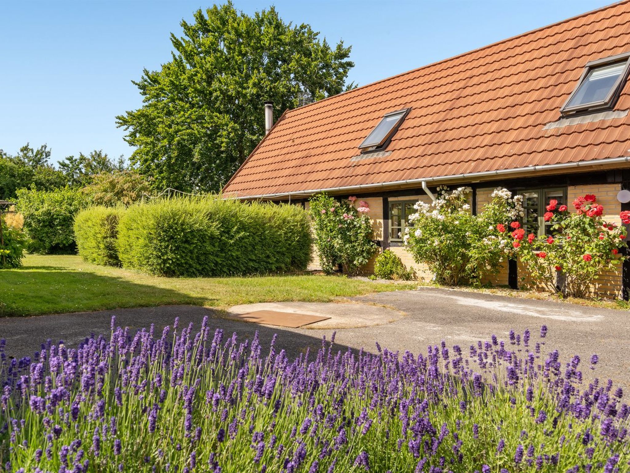 "Redlef" - 9km from the sea - Buiten