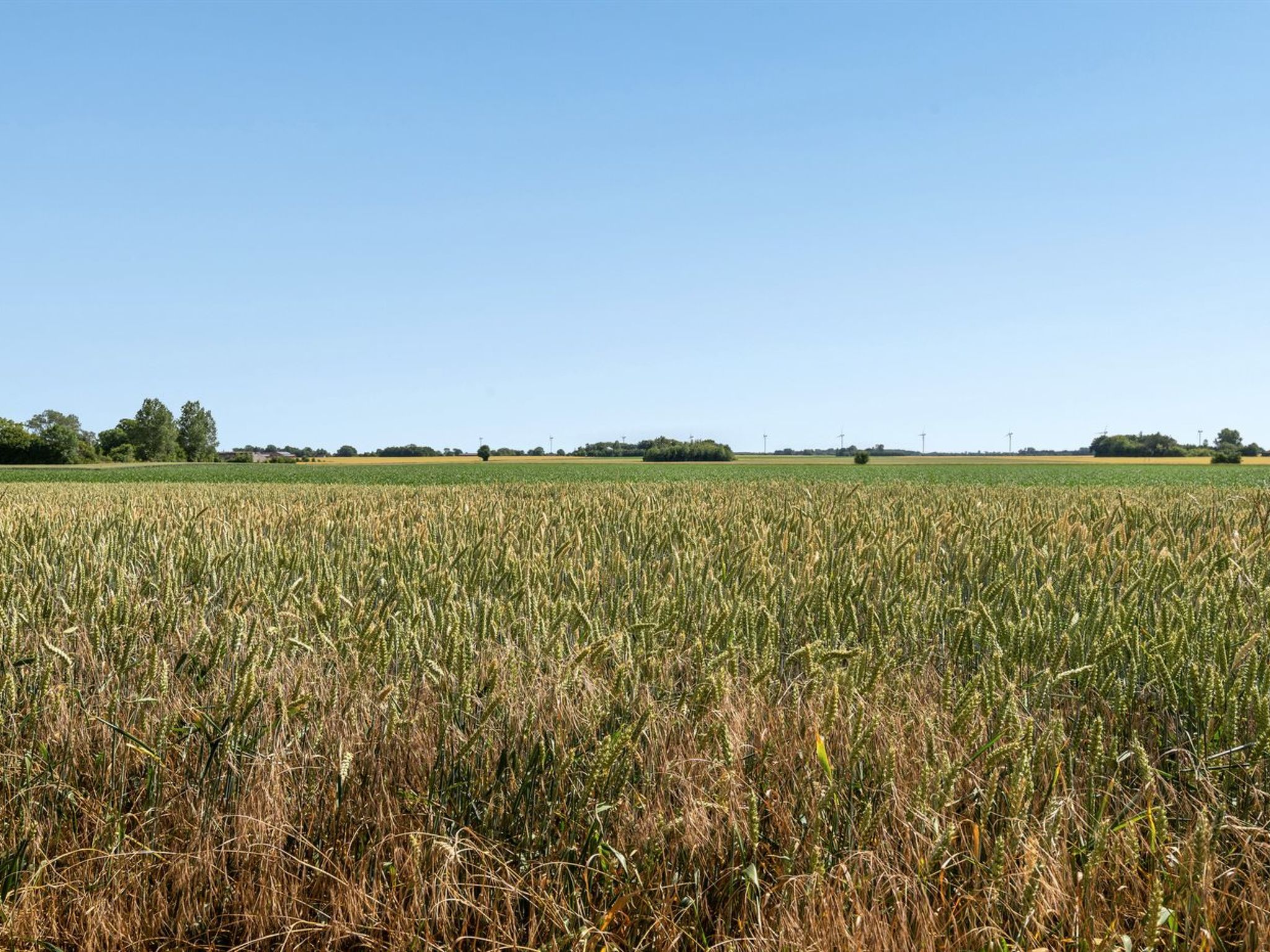 "Redlef" - 9km from the sea - Buiten