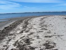 Vrijstaand vakantiehuis 'Eddy' op 50 meter van de zee op het eiland Fejø - thumbnail 4