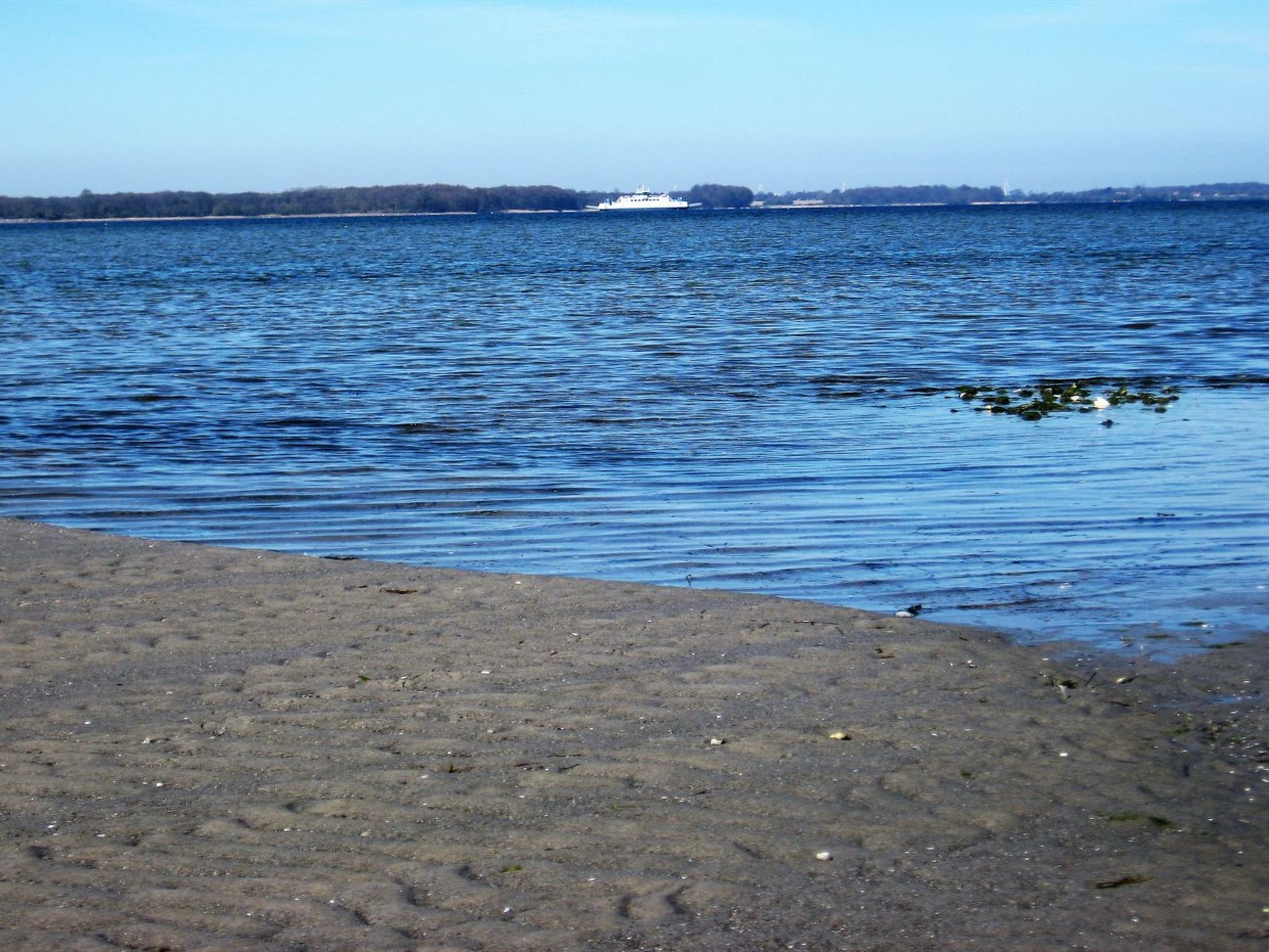 "Eddy" - 50m from the sea - Draußen