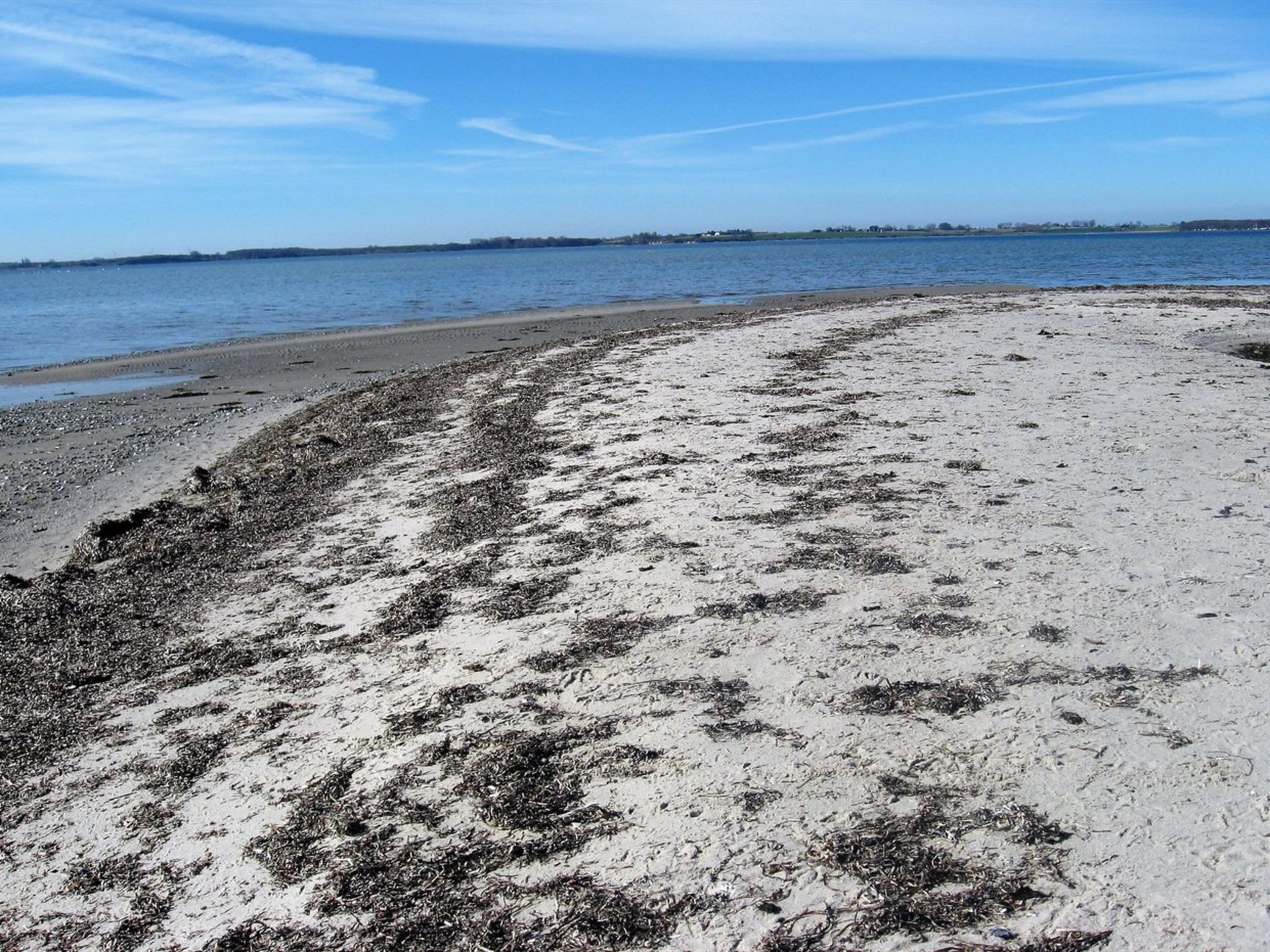 "Eddy" - 50m from the sea - Draußen