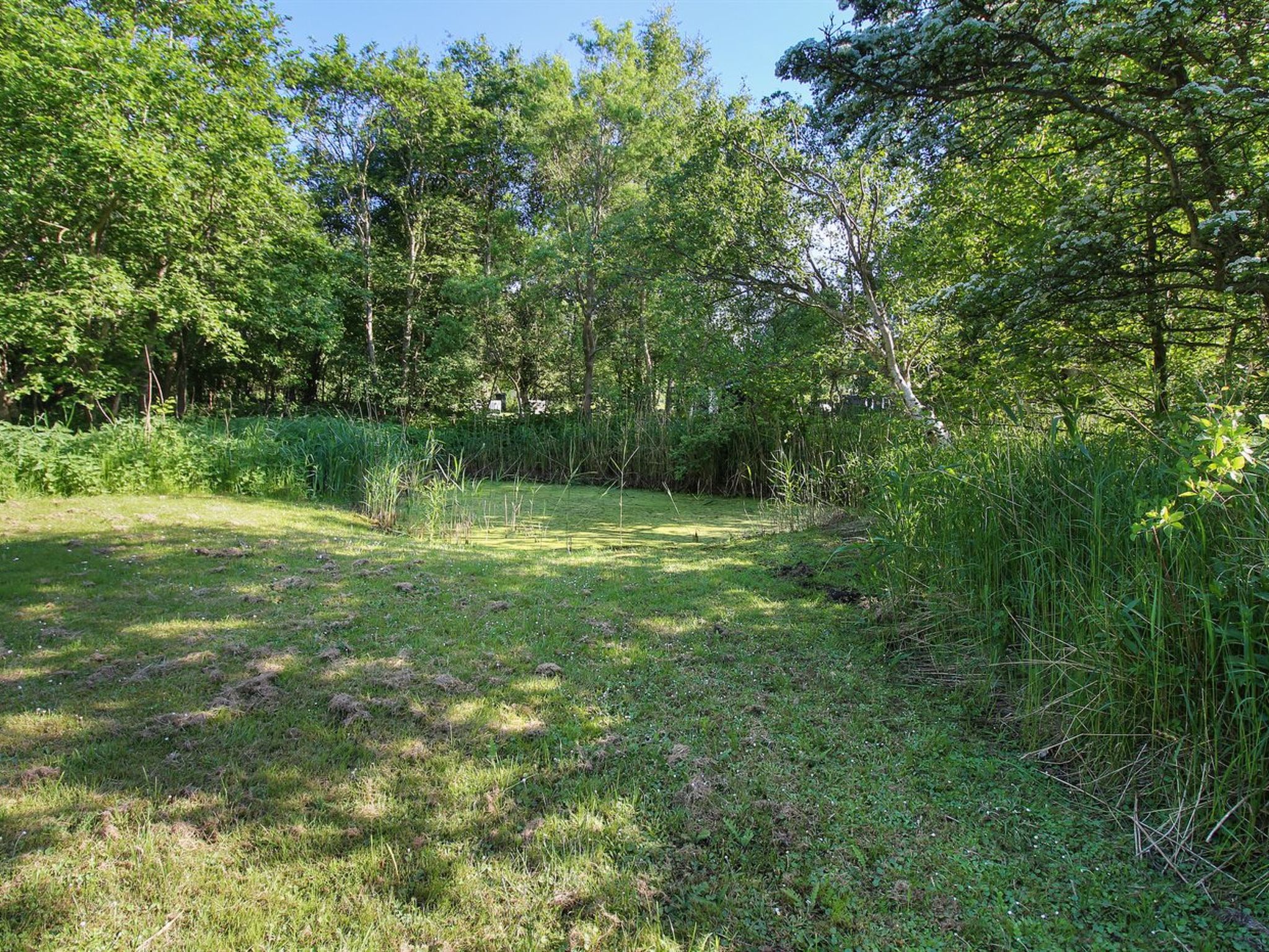 "Virve" - 300m from the sea - Buiten