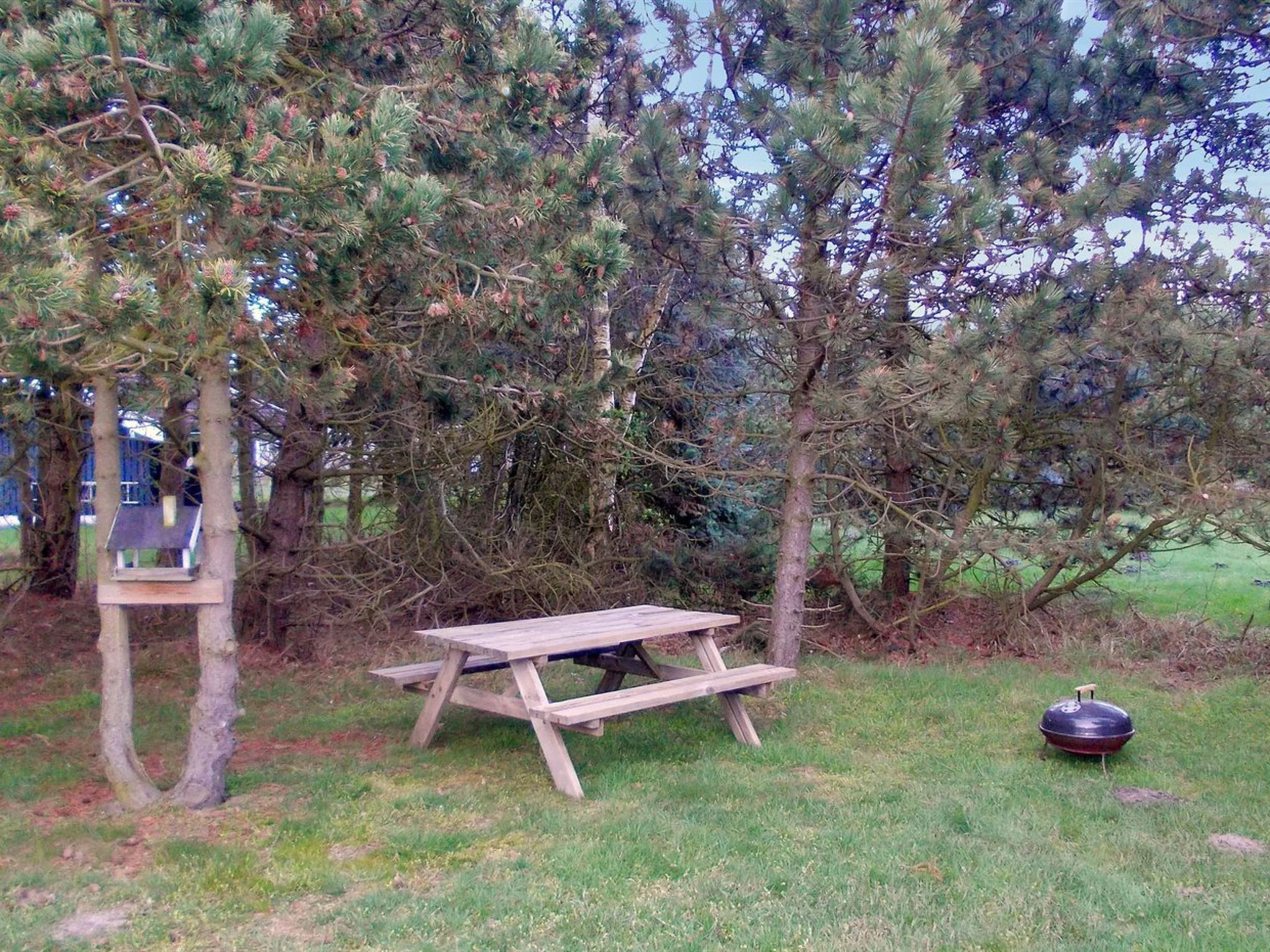 "Crispina" - 350m from the sea - Buiten
