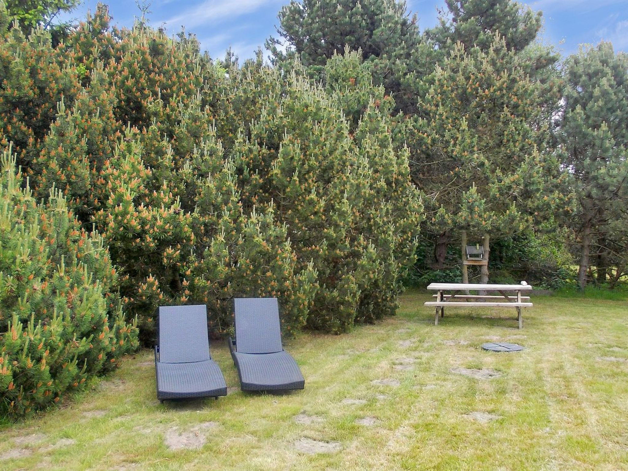 "Crispina" - 350m from the sea - Buiten