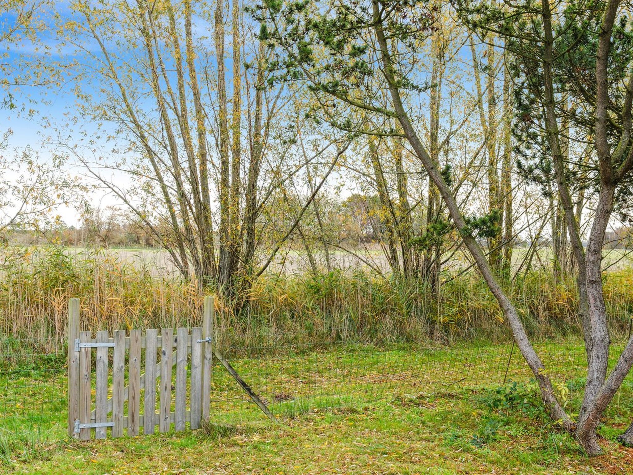 "Arendine" - 700m from the sea - Draußen