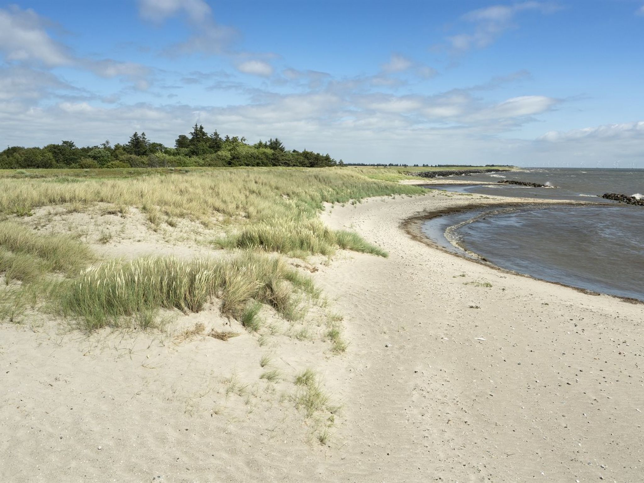 "Lottje" - 300m from the sea - Draußen