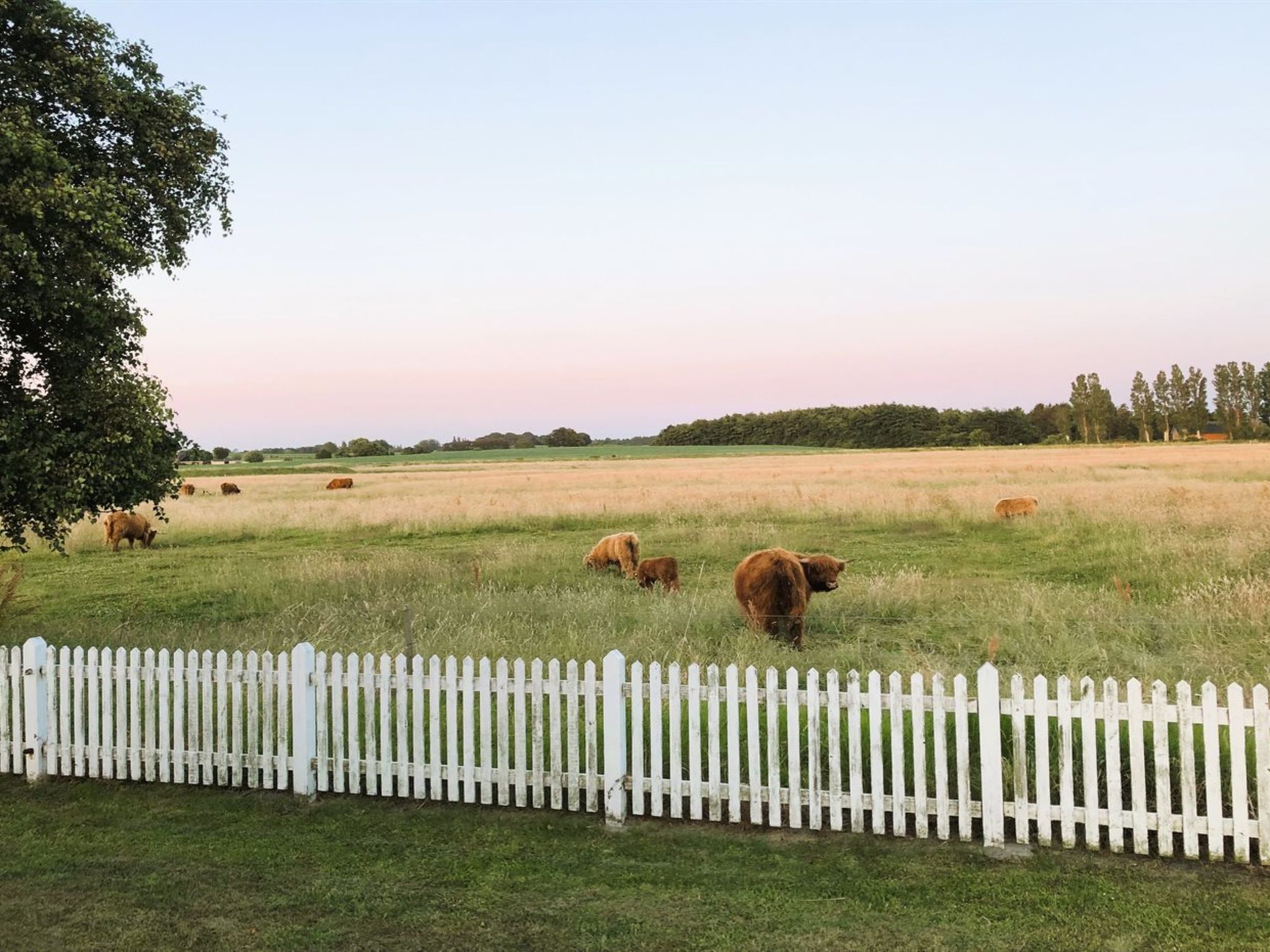 "Roya" - 100m from the sea-Outside