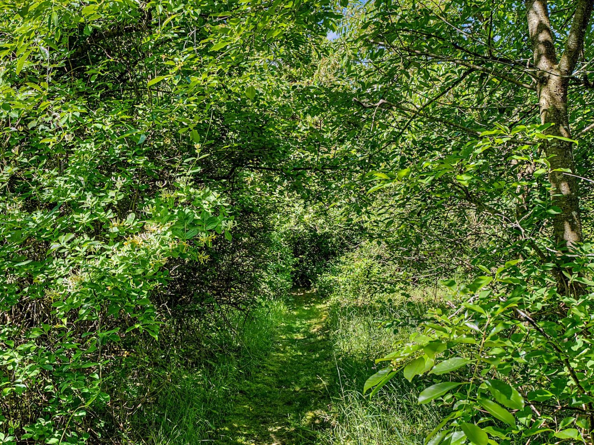 "Fulla" - 150m from the sea - Buiten
