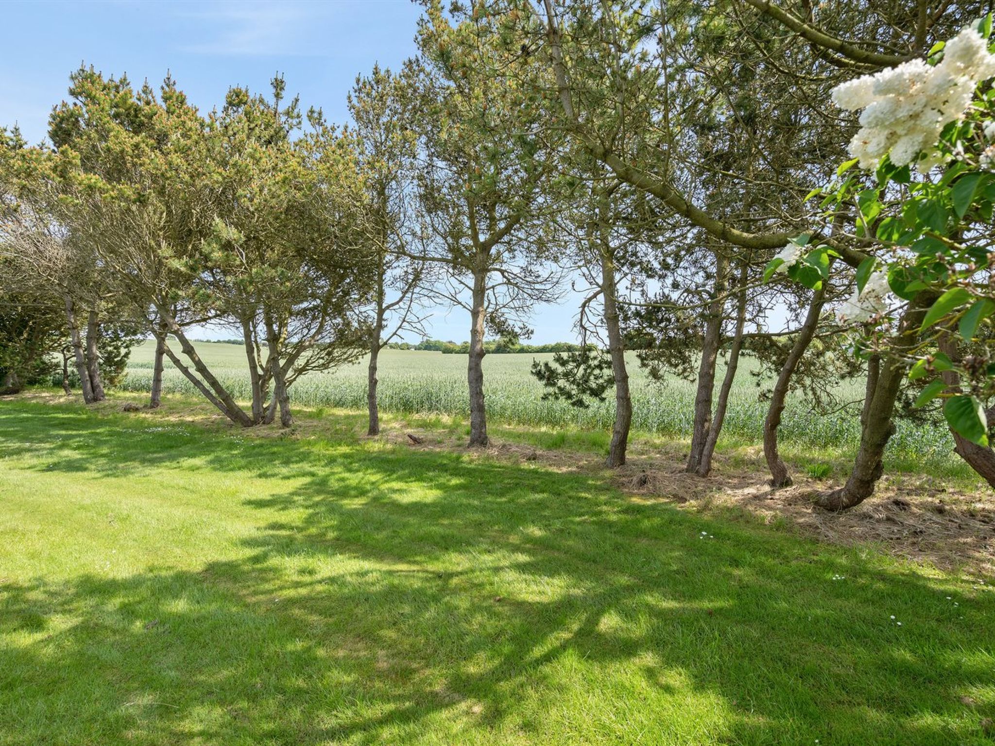 "Veljan" - 400m from the sea - Buiten