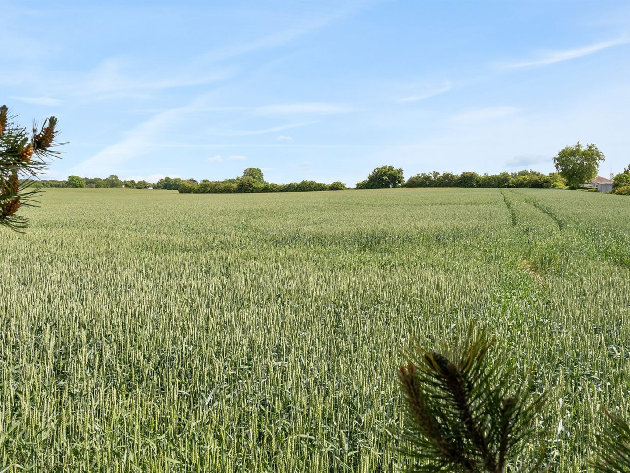 "Veljan" - 400m from the sea - Buiten