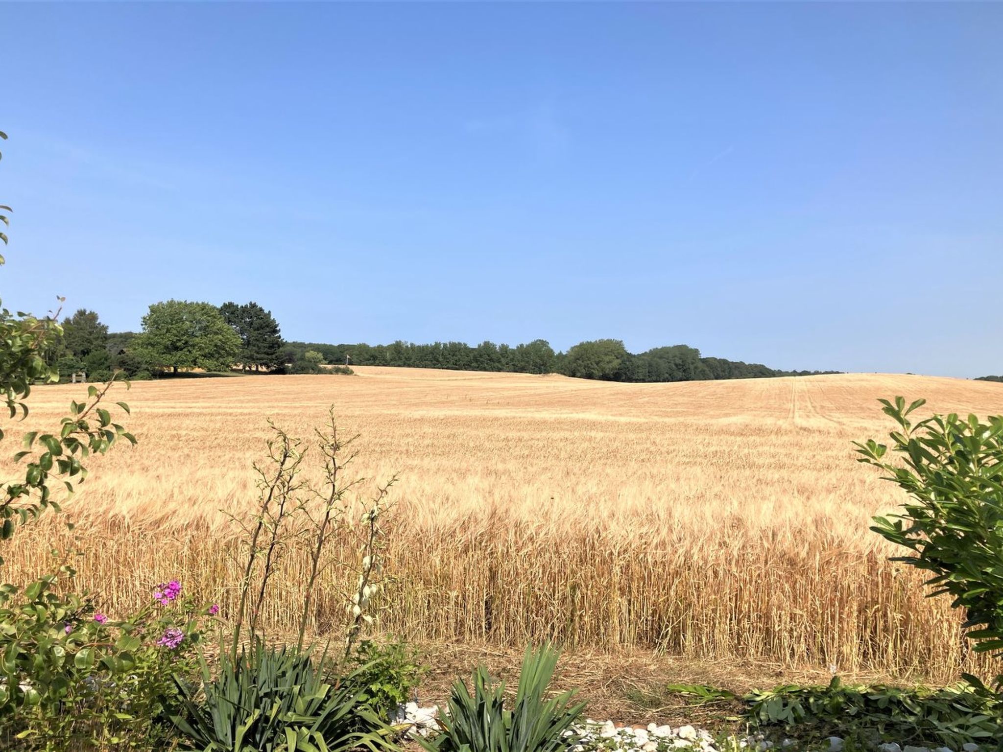 "Asya" - 600m from the sea - Buiten