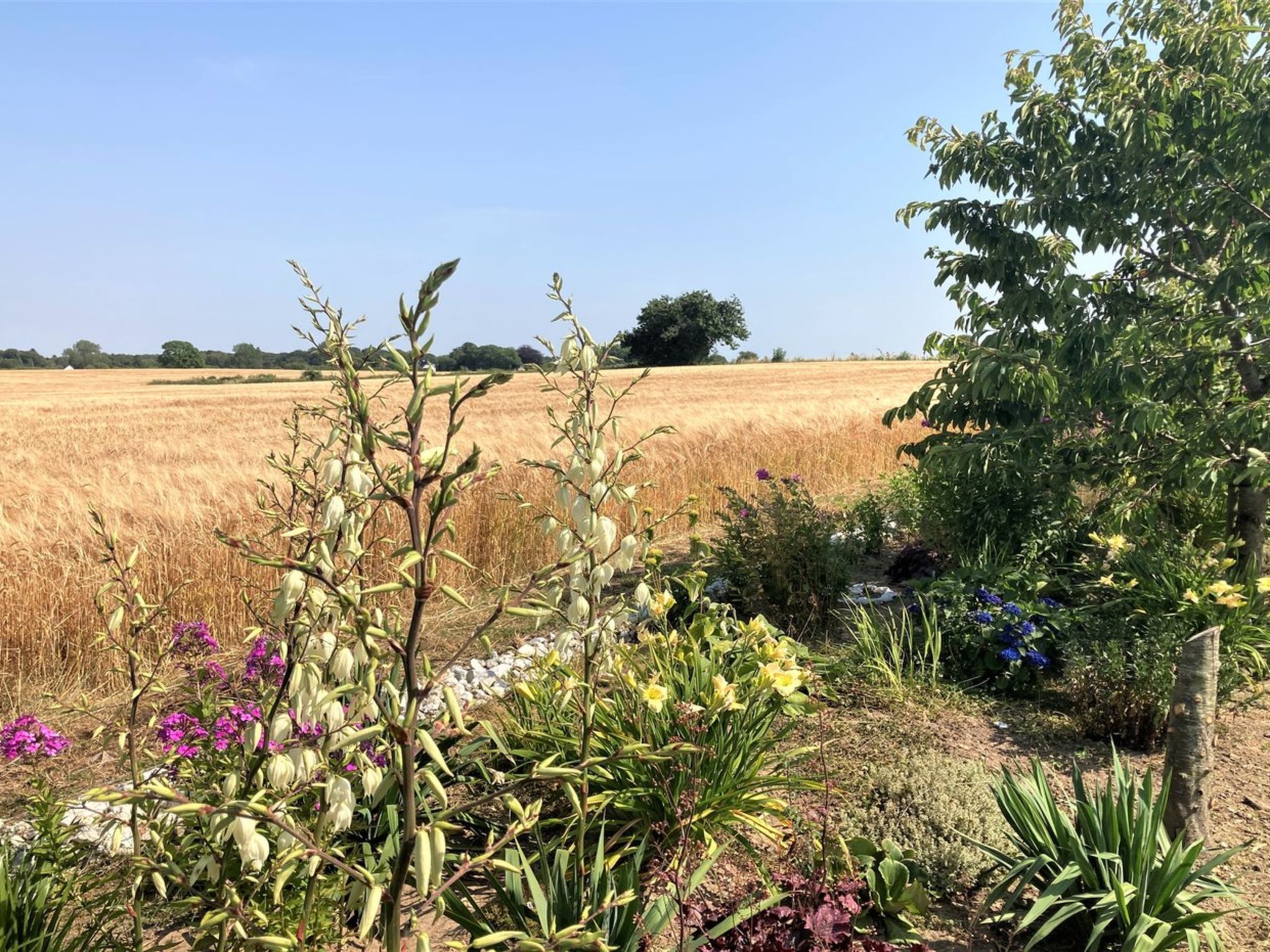 "Asya" - 600m from the sea - Buiten