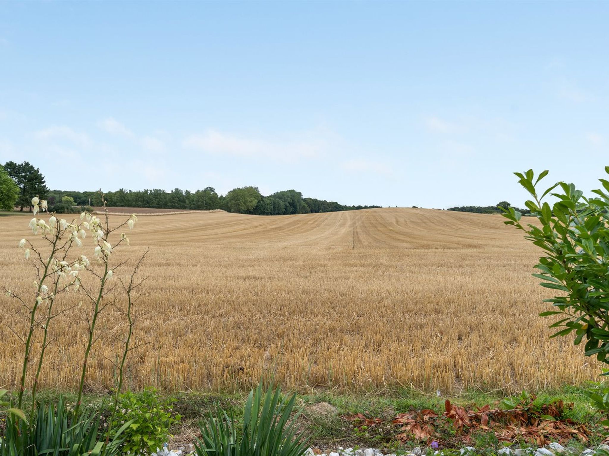 "Asya" - 600m from the sea - Buiten