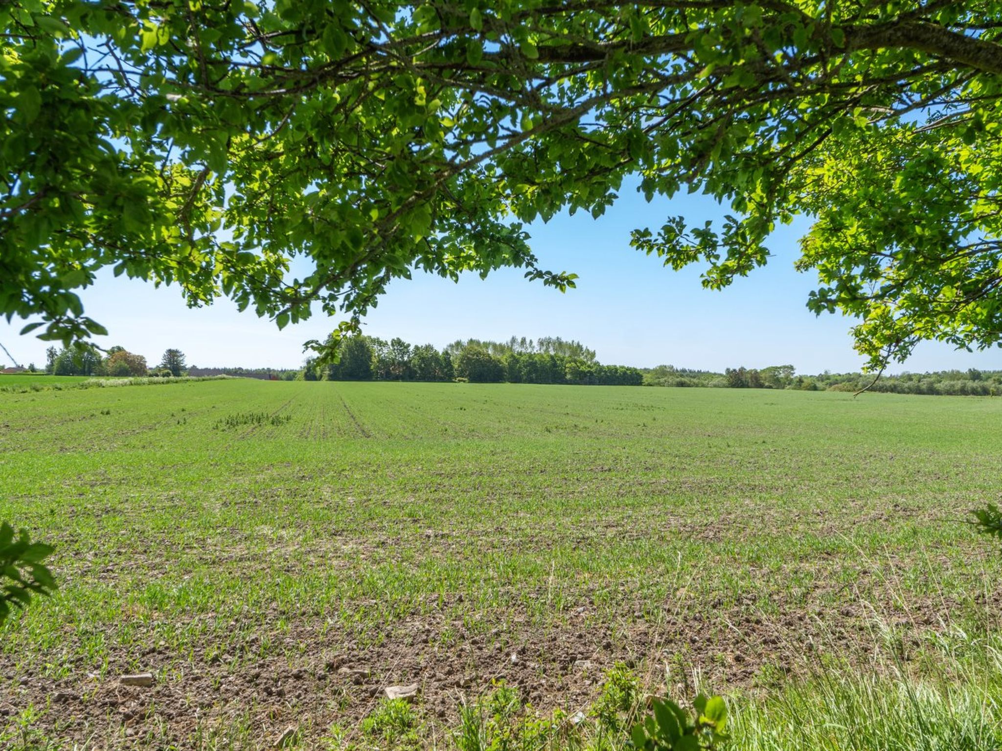 "Eliane" - 1.8km from the sea - Buiten