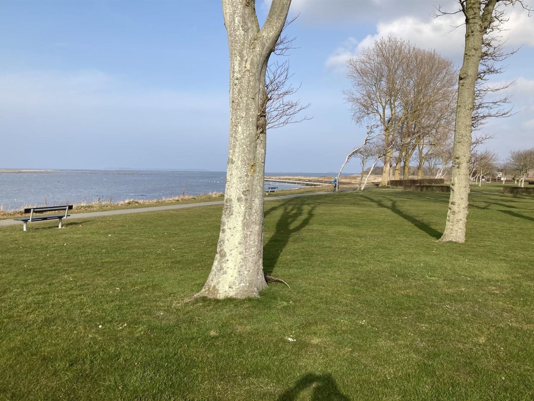 "Ala" - 80m from the sea - Buiten