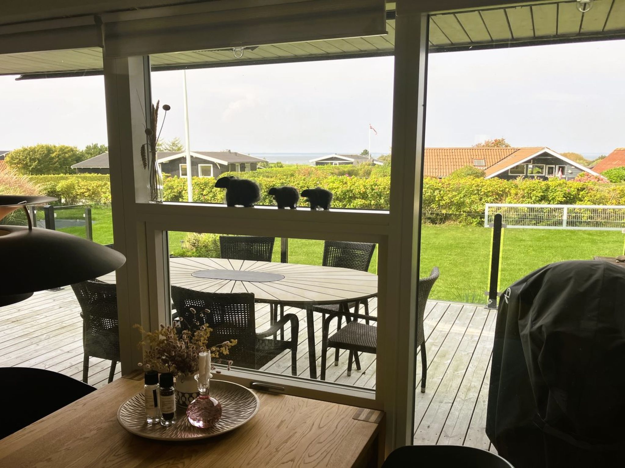 Photo of "Carlene" - 350m from the sea