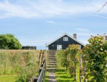 Knusse studio aan zee in Otterup – zandstrand op 5 meter - thumbnail 4